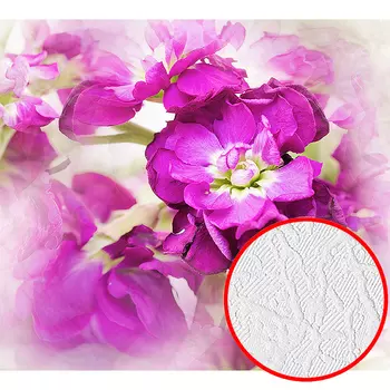 Фотообои Divino