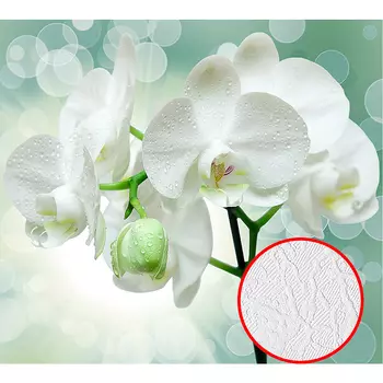 Фотообои Divino