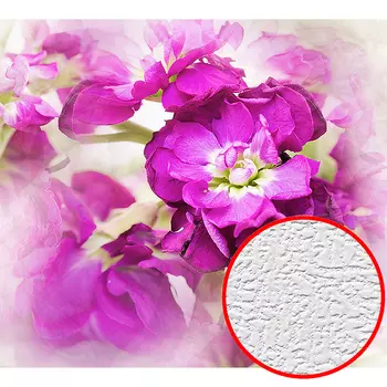 Фотообои Divino