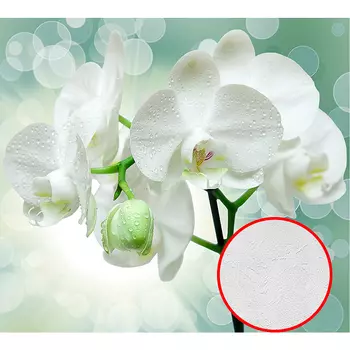 Фотообои Divino