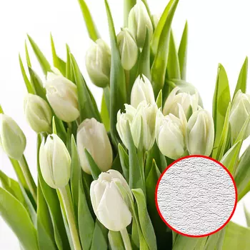 Фотообои Divino