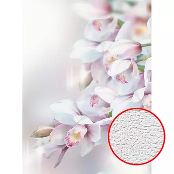 Фотообои Divino