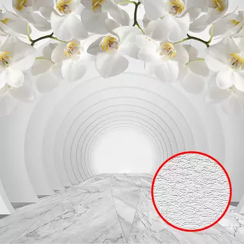 Фотообои Divino