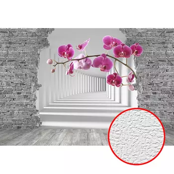 Фотообои Divino