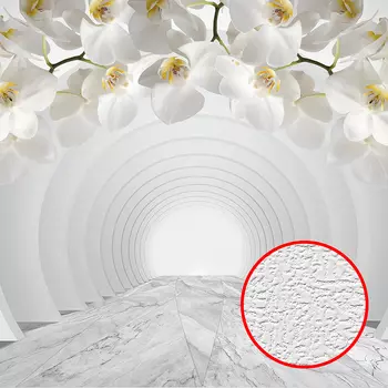 Фотообои Divino