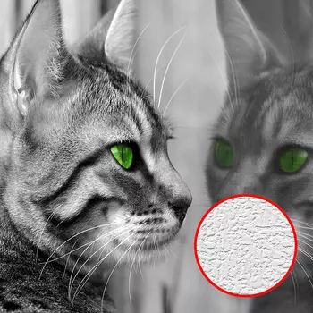 Фотообои Divino