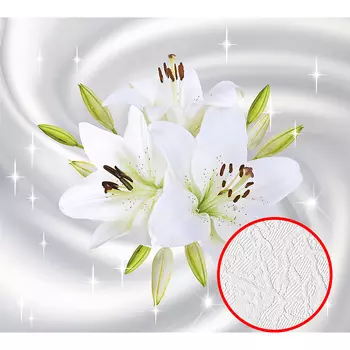 Фотообои Divino