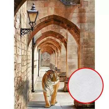 Фотообои Divino