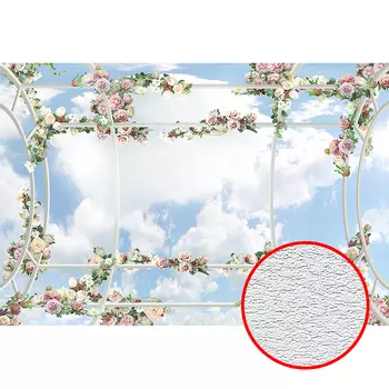 Фотообои Divino