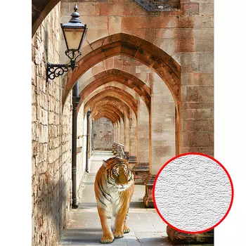 Фотообои Divino