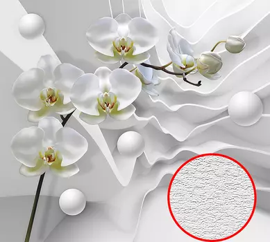 Фотообои Divino