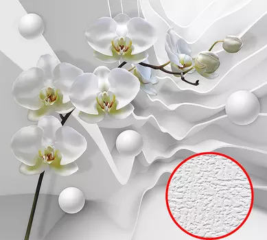 Фотообои Divino