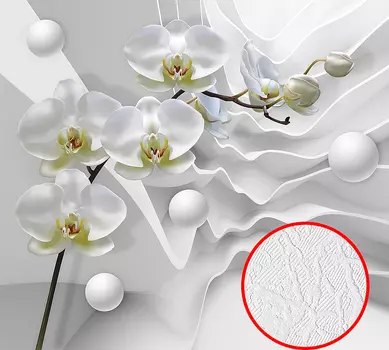 Фотообои Divino