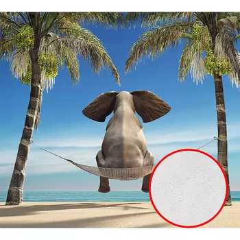 Фотообои Divino