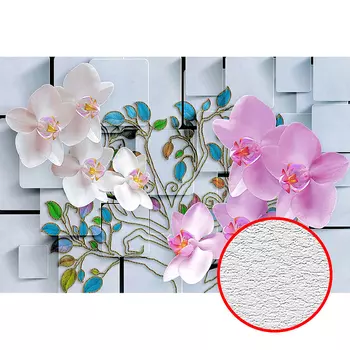 Фотообои Divino