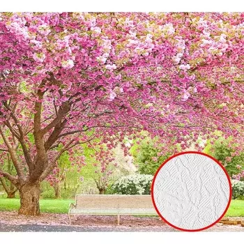 Фотообои Divino