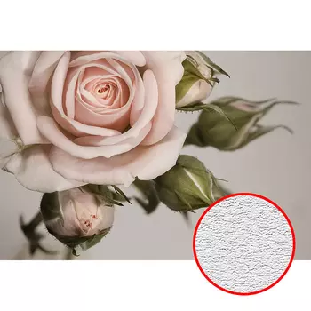 Фотообои Divino