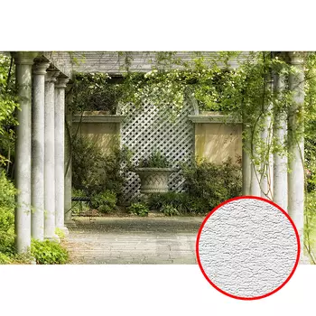 Фотообои Divino