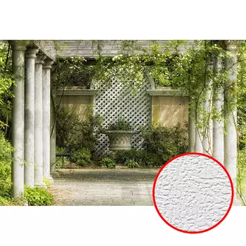 Фотообои Divino