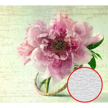 Фотообои Divino