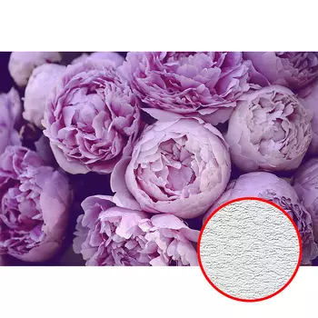 Фотообои Divino