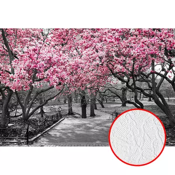 Фотообои Divino