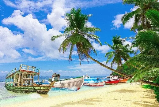 Фотообои Divino