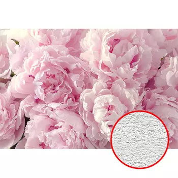 Фотообои Divino