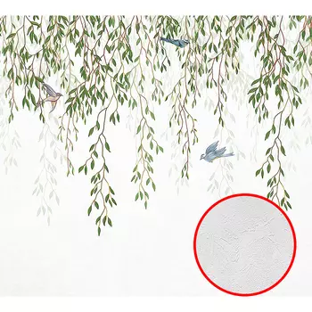 Фотообои Divino