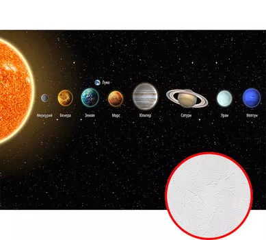 Фотообои Divino