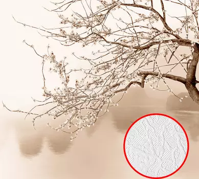 Фотообои Divino