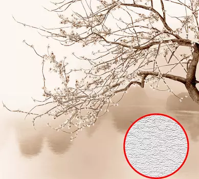 Фотообои Divino