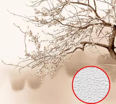 Фотообои Divino