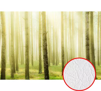 Фотообои Divino