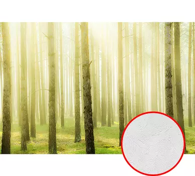 Фотообои Divino