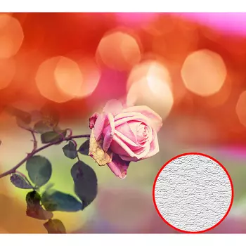 Фотообои Divino