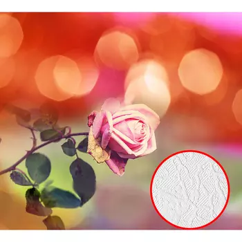 Фотообои Divino