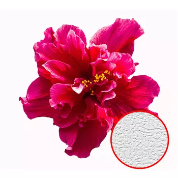 Фотообои Divino