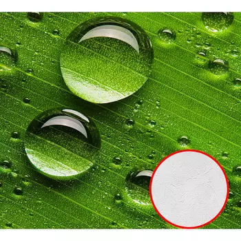 Фотообои Divino