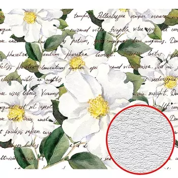 Фотообои Divino