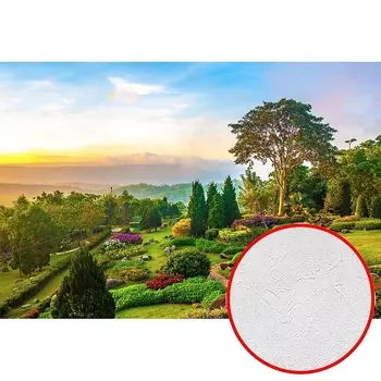 Фотообои Divino