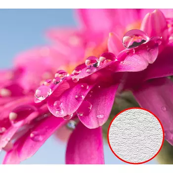 Фотообои Divino