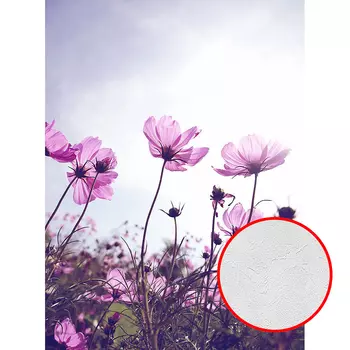 Фотообои Divino