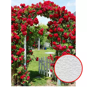 Фотообои Divino