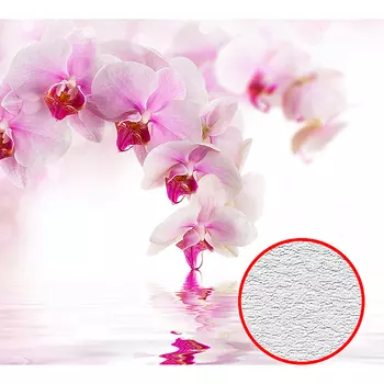 Фотообои Divino