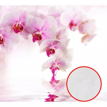 Фотообои Divino