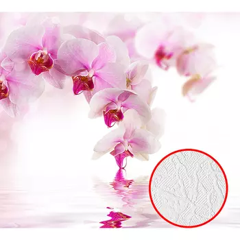 Фотообои Divino