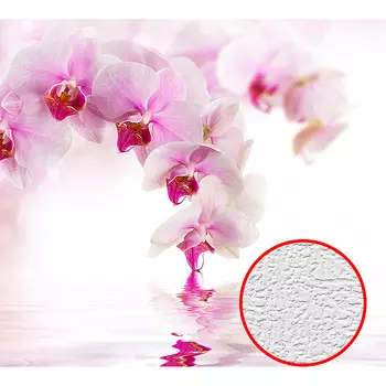 Фотообои Divino