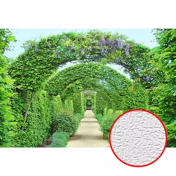 Фотообои Divino