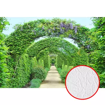 Фотообои Divino